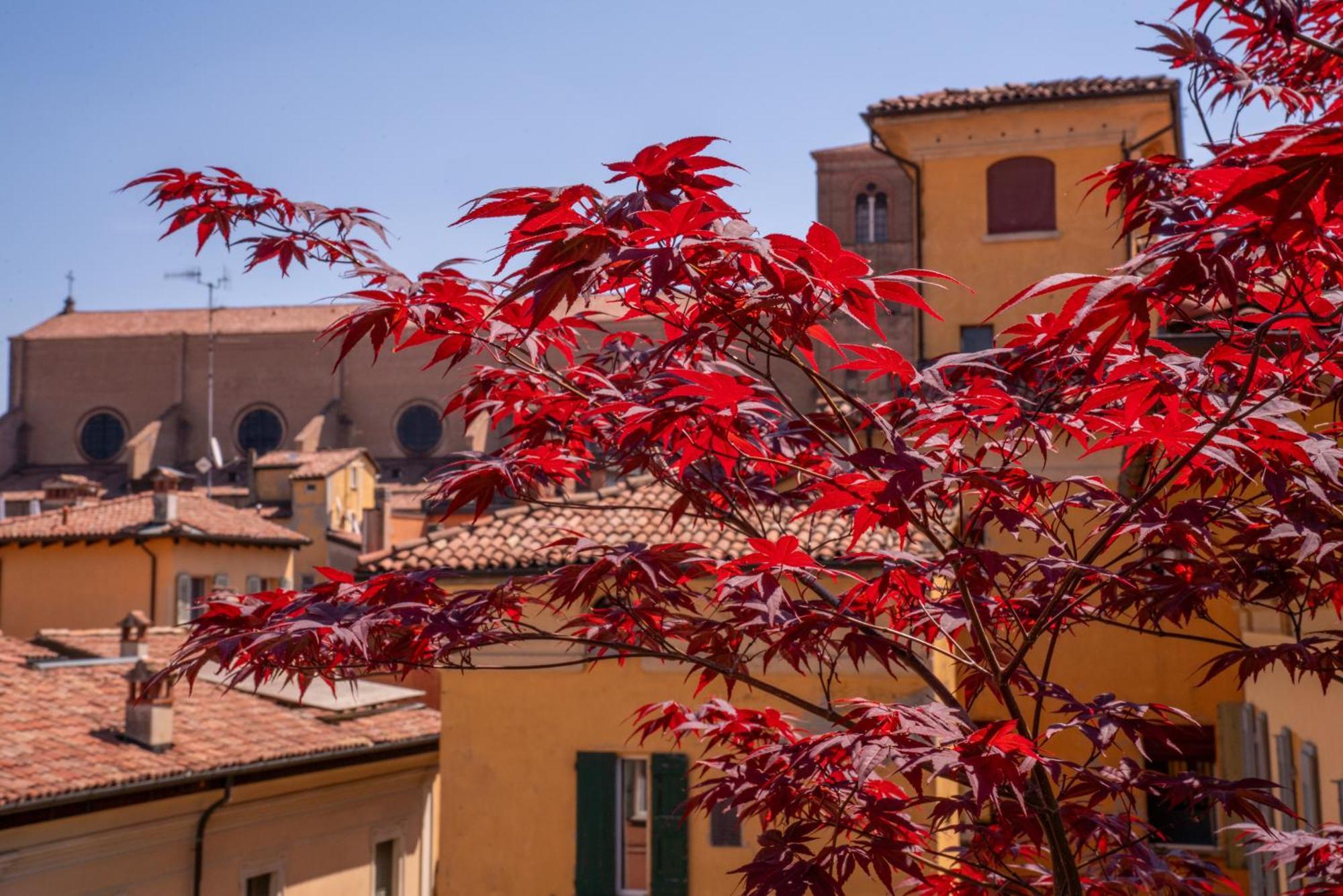 Piazza Maggiore Santa Margherita B&B Bologna Phòng bức ảnh